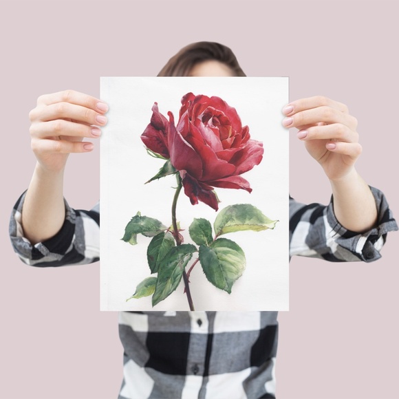 Watercolor Single Red Rose Wall Art Print, Unframed - Timeless Floral Elegance - Picture 4 of 6